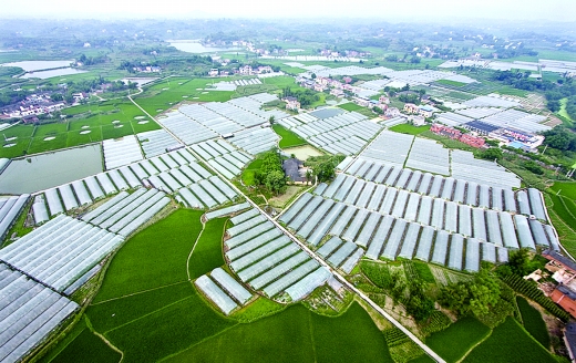 笔下美景让人心醉 赞美劳动催人奋进_资讯频道_凤凰网